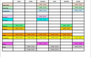 Planning de reprise  